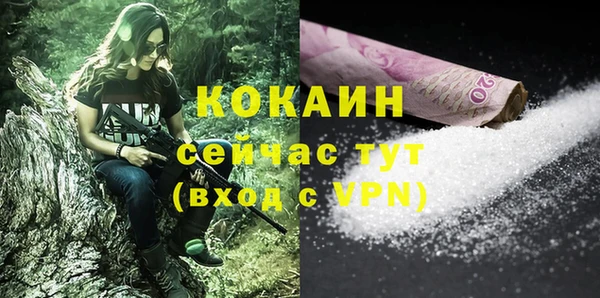 apvp Богородицк