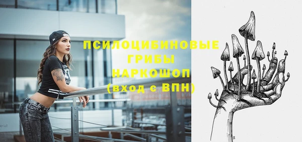 наркотики Богданович