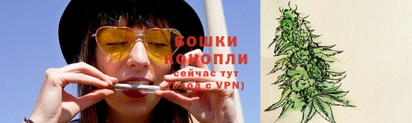 apvp Богородицк