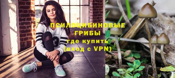 стафф Бронницы