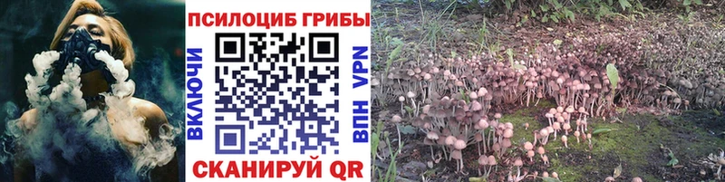 shop состав Бутурлиновка mega зеркало Галлюциногенные грибы прущие грибы купить цена